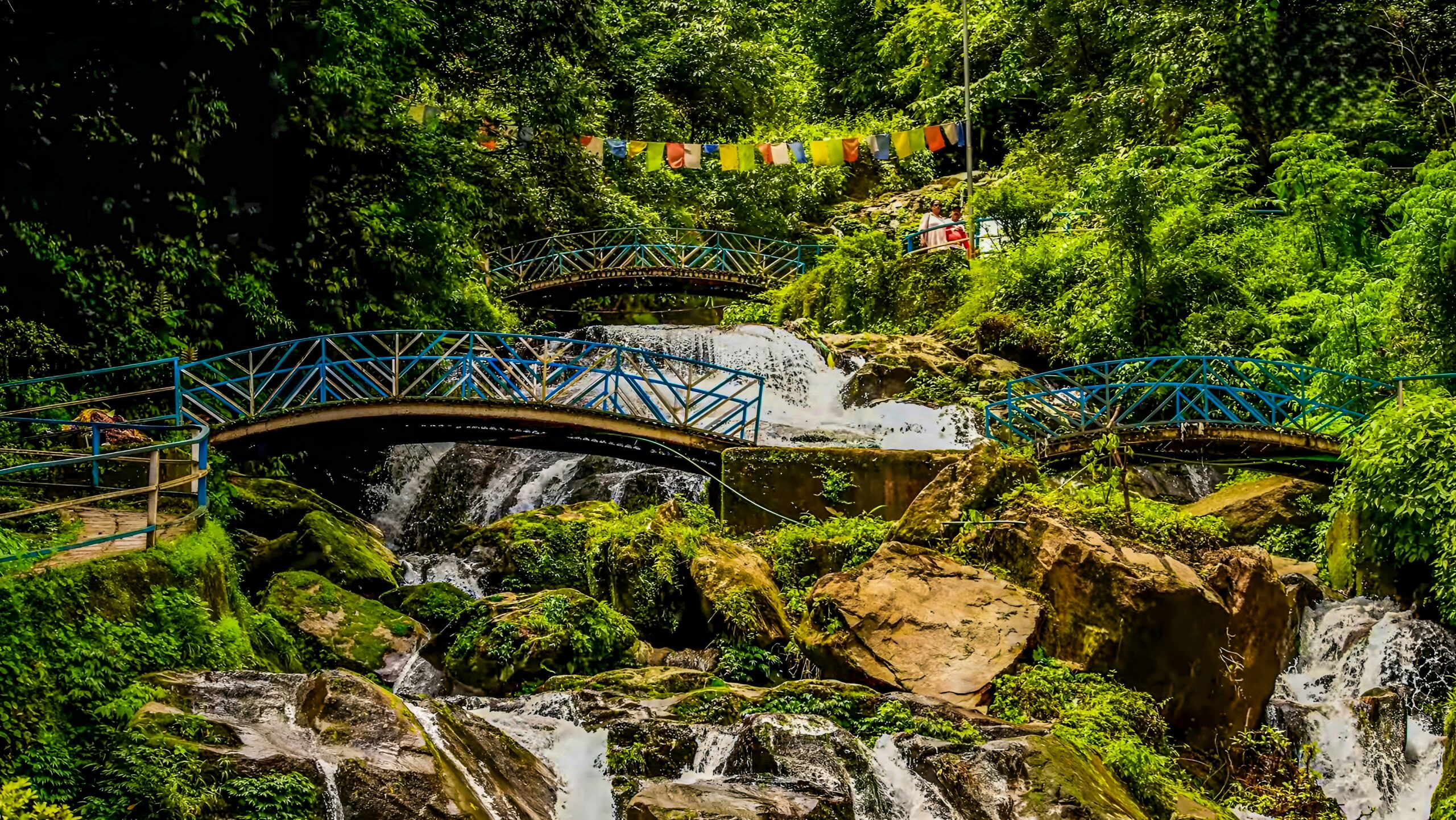 Waterfall flowing under blue footbridges amid dense green forest in Darjeeling.