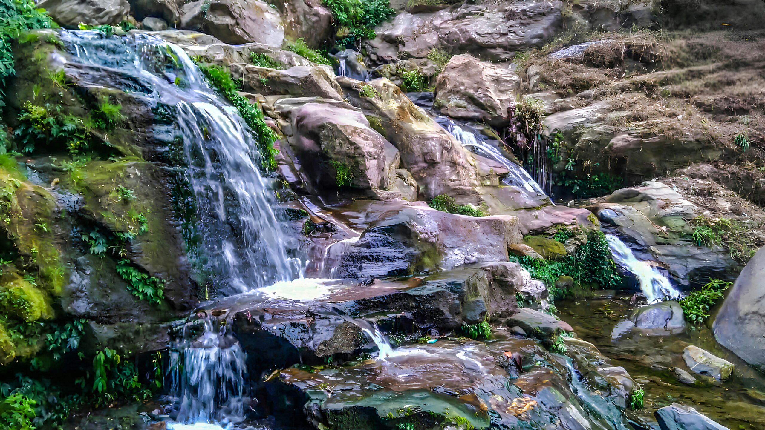 Small waterfall flowing over layered rocks with green plants in Darjeeling.