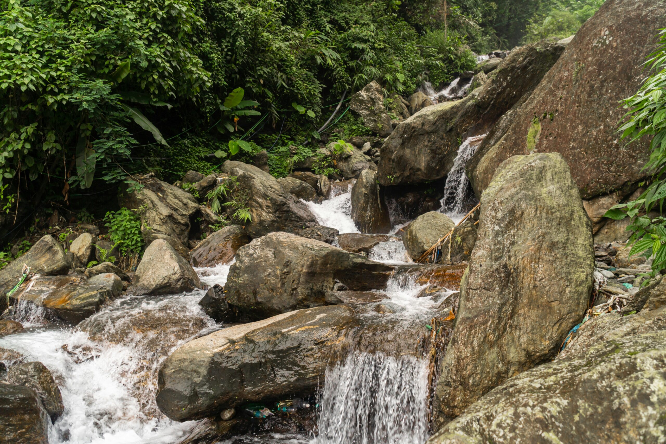Flowing mountain stream over large rocks amid dense greenery in Darjeeling.