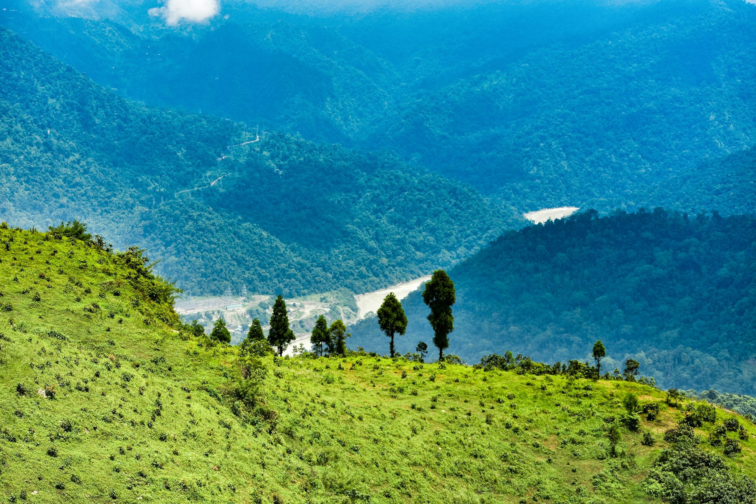 Lush green hills of Darjeeling overlooking a winding river valley under soft mountain sunlight.