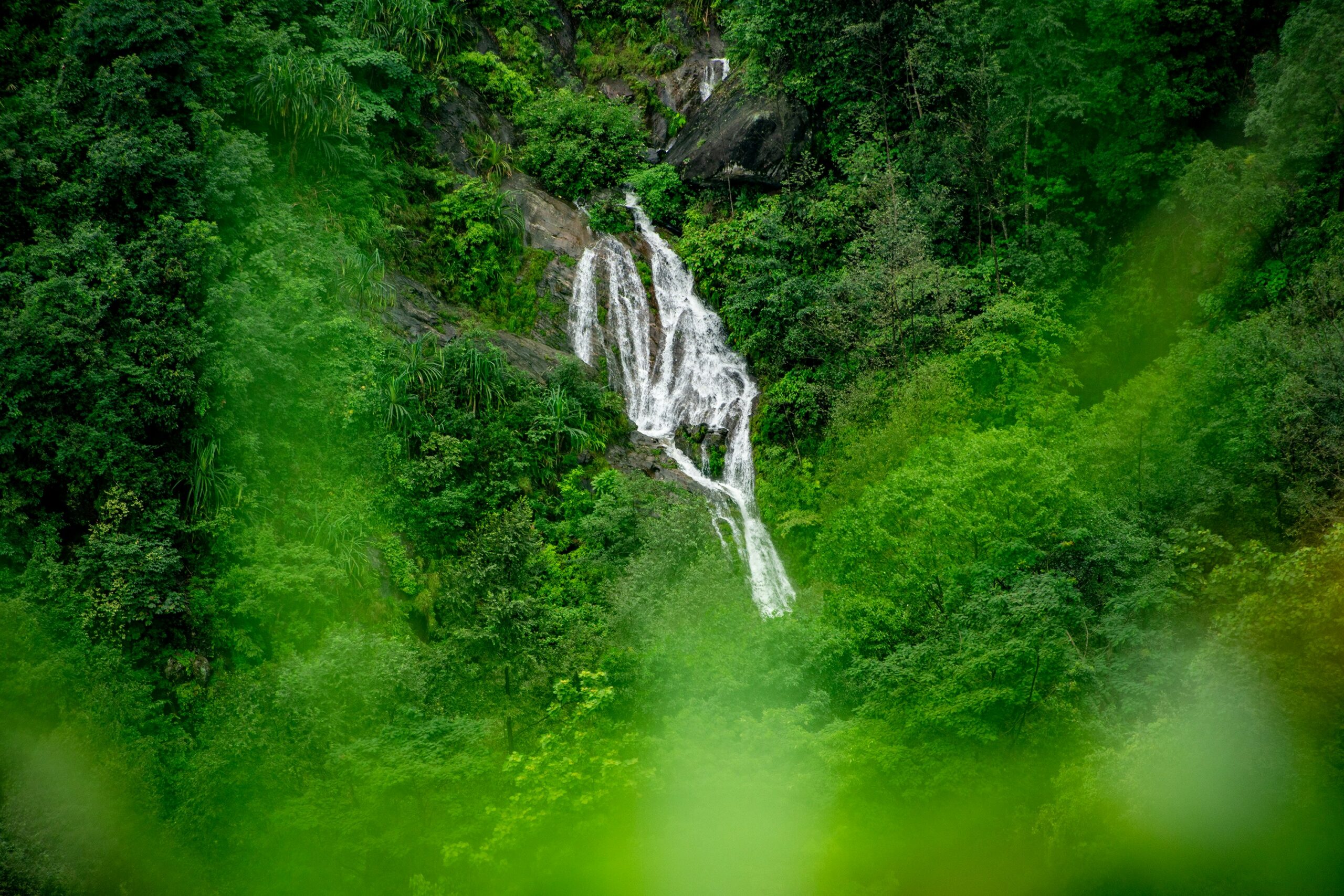 Waterfall cascading down rocks amidst dense green forest in Darjeeling.