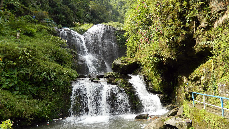 Waterfall cascading through rocks and dense greenery at Rock Garden in Darjeeling with a walking path and railing beside the stream.