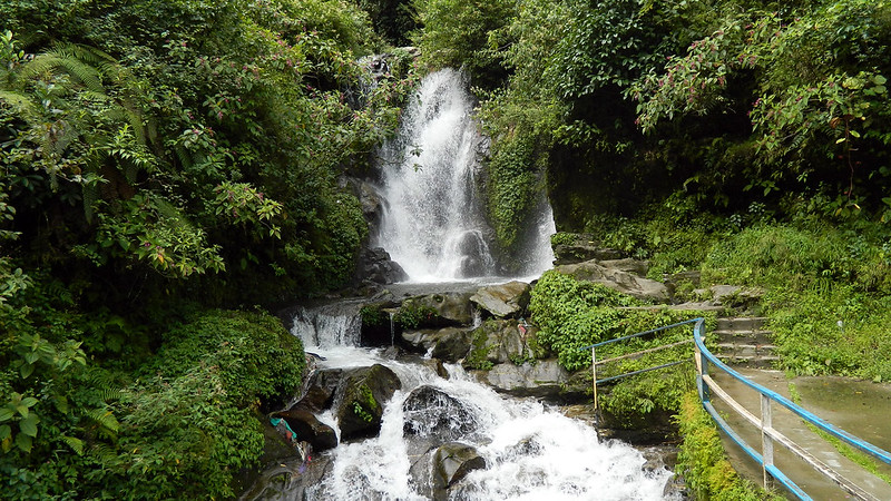 Waterfall cascading through rocks and dense greenery at Rock Garden in Darjeeling with a walking path and railing beside the stream.