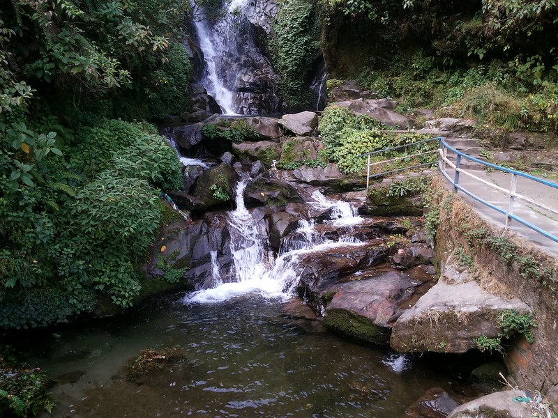 Small cascading waterfall flowing over rocks at Rock Garden Darjeeling with dense greenery around.