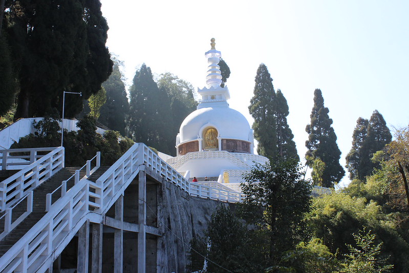 peace pagoda at darjeeling