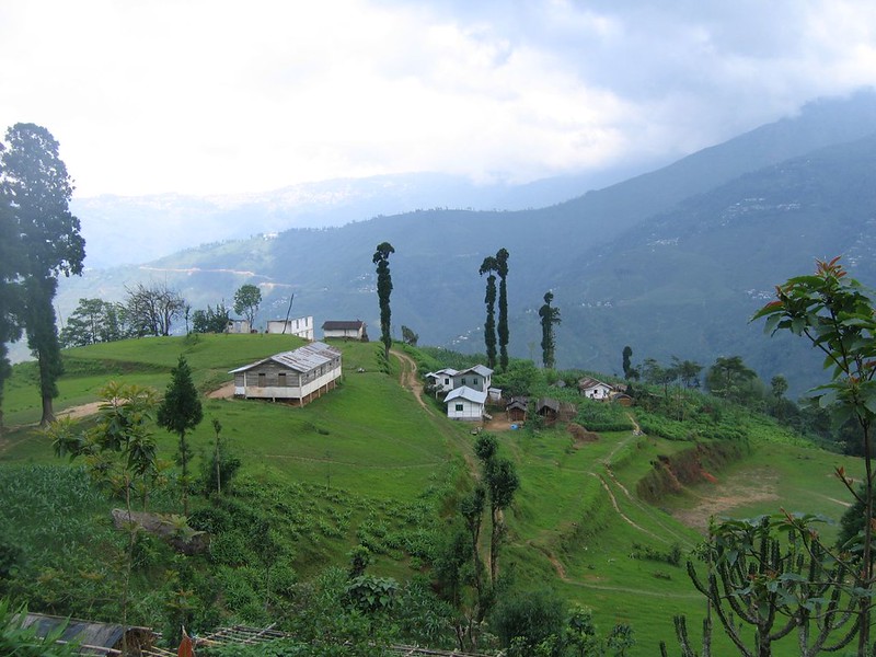 beautiful view of green park of darjeeling