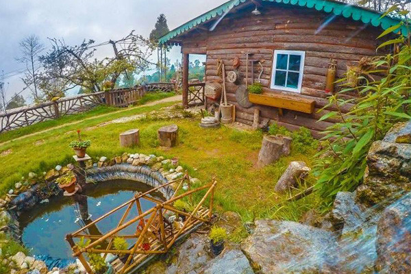 Rustic wooden homestay cottage with garden pond in an offbeat village near Darjeeling.