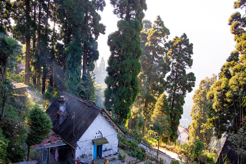 colonial walk in darjeeling