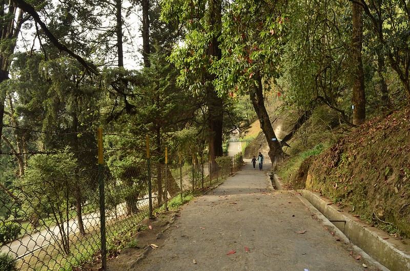 botanical garden darjeeling