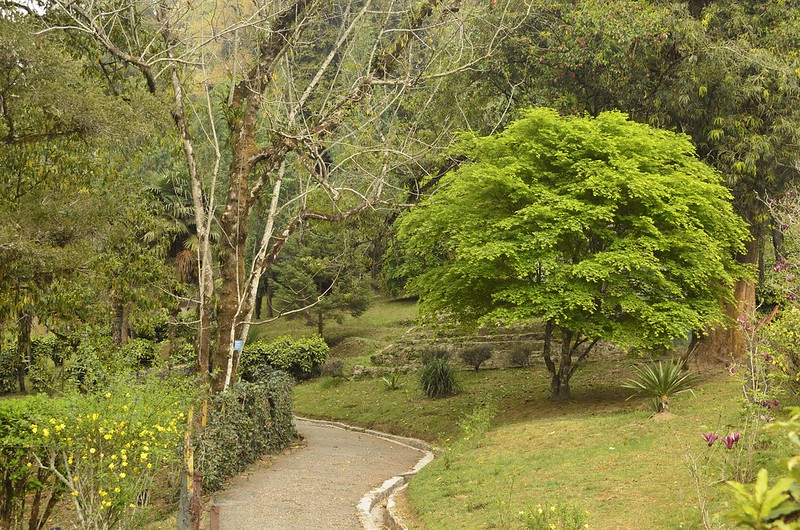 botanical garden darjeeling
