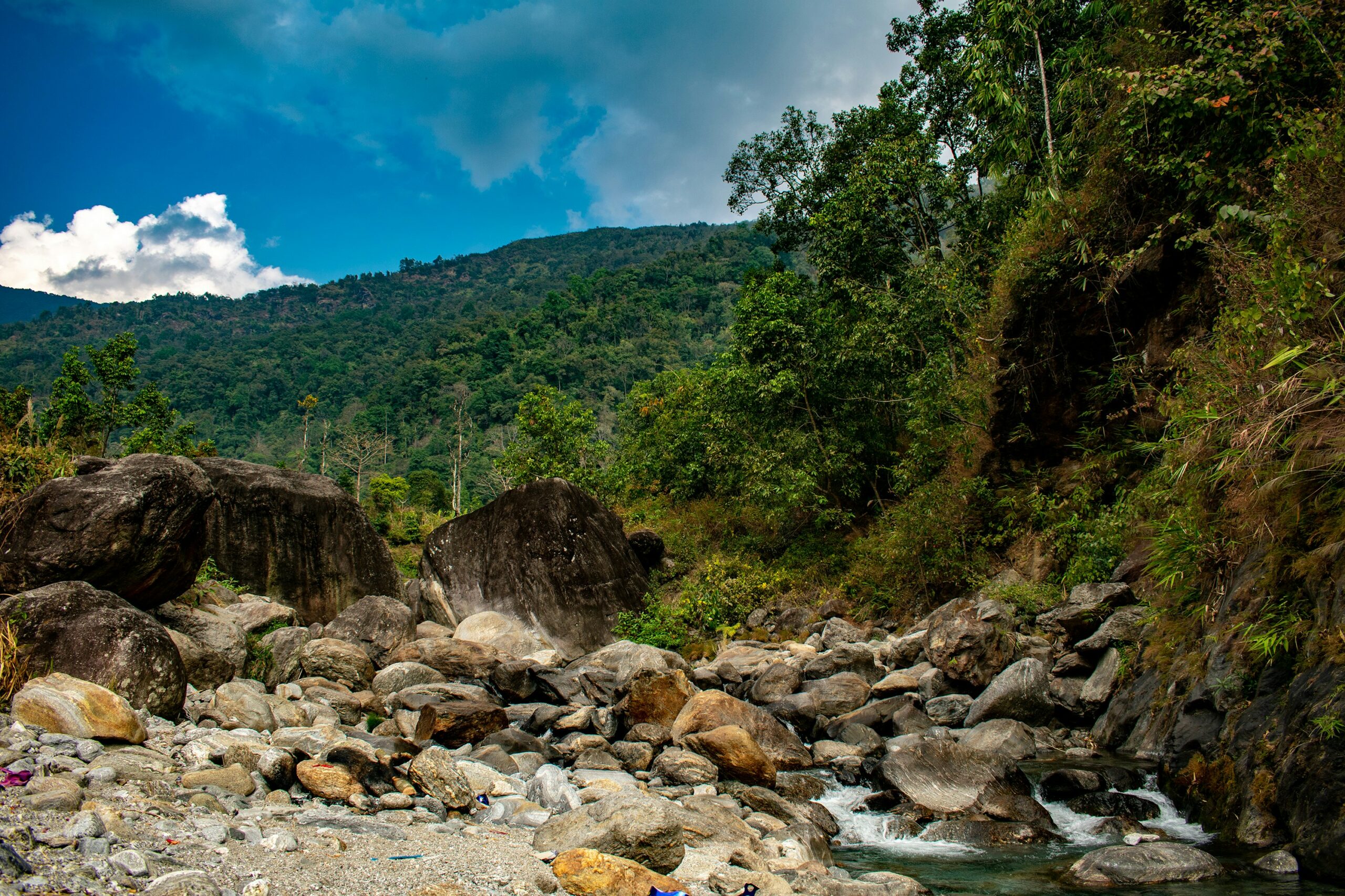 Rocky riverbed with flowing stream surrounded by dense green forest and hills under a dramatic sky.