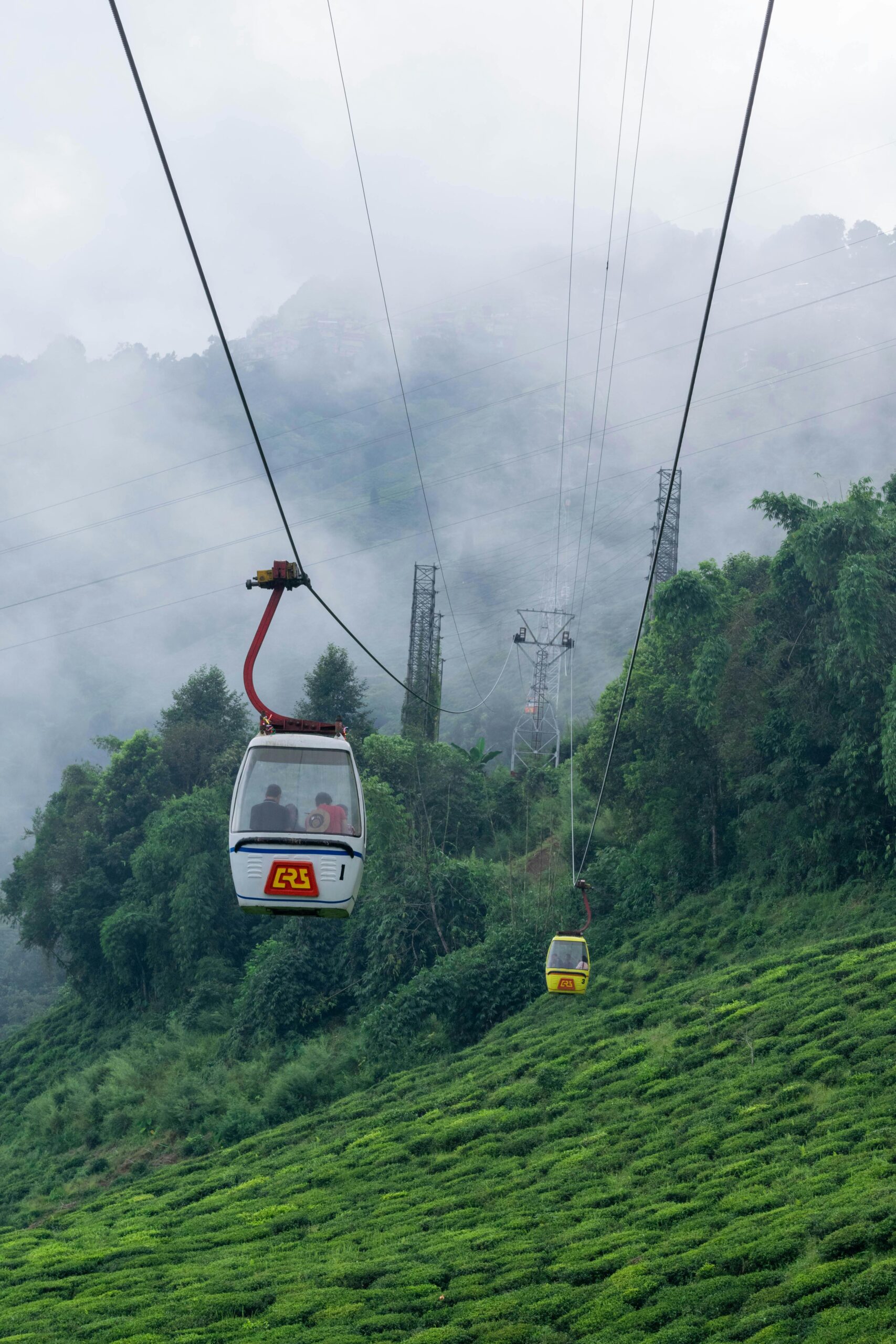 Cable car in Darjeeling moving above lush green tea gardens with misty hills and forested landscape.