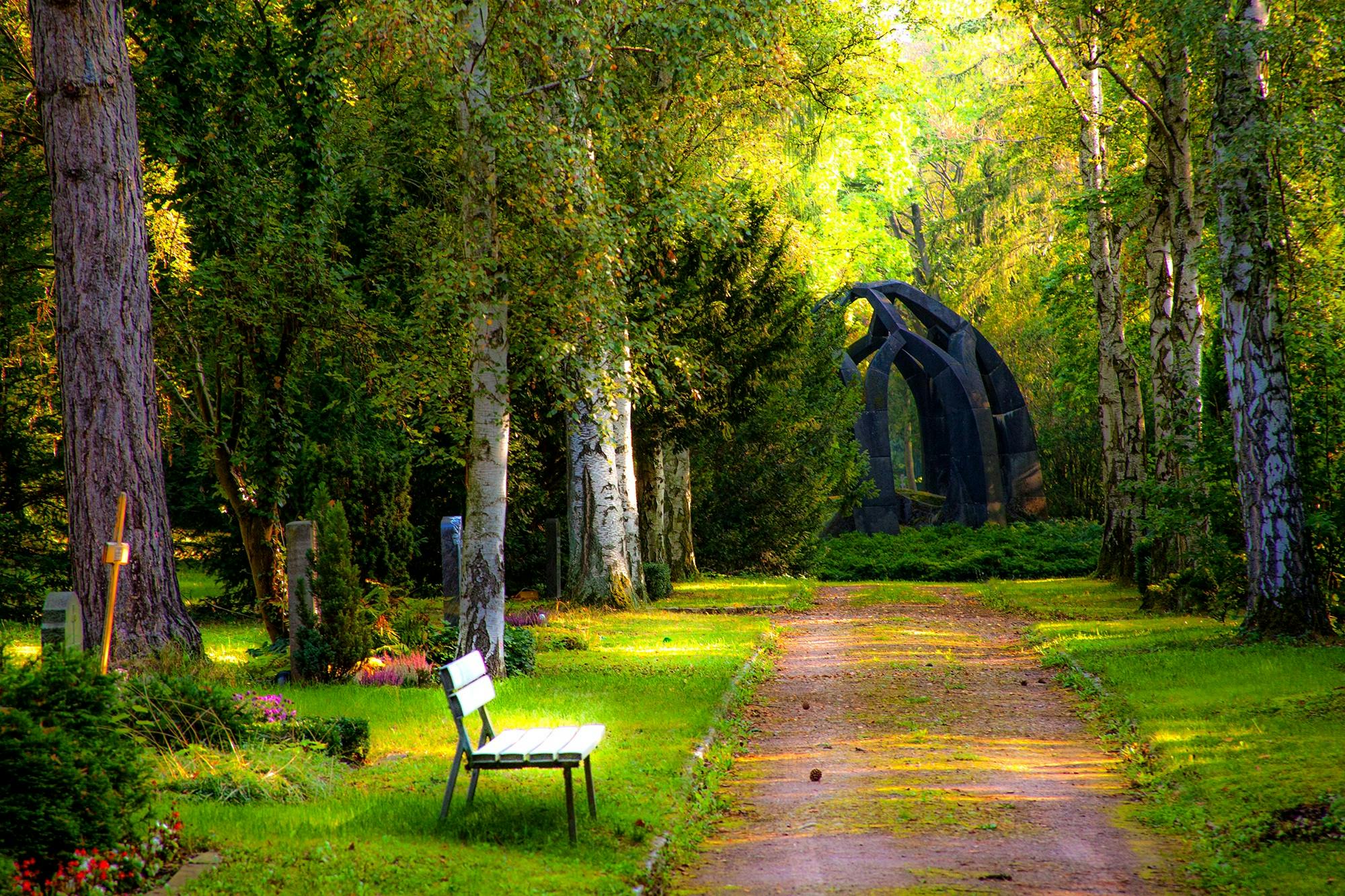 Wooden bench beside a sunlit pathway surrounded by tall trees and lush green foliage in a serene park.