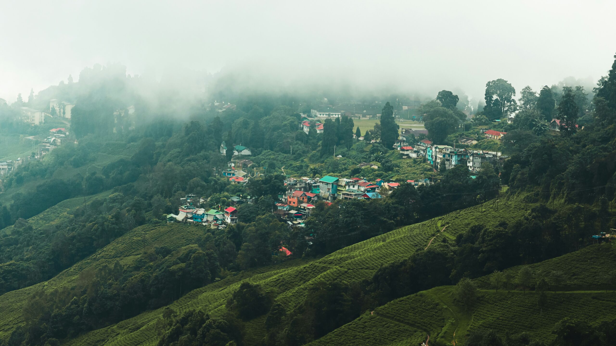 Darjeeling tea gardens with hillside village houses surrounded by misty hills.