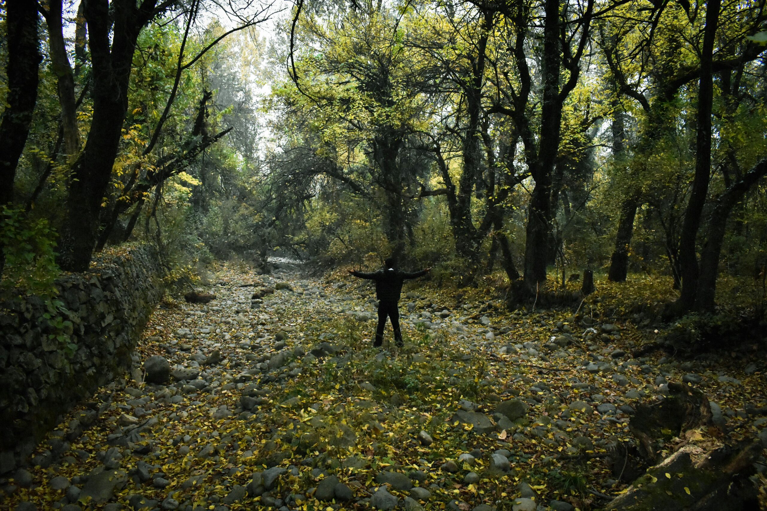  Wildlife Sanctuaries in Kashmir 