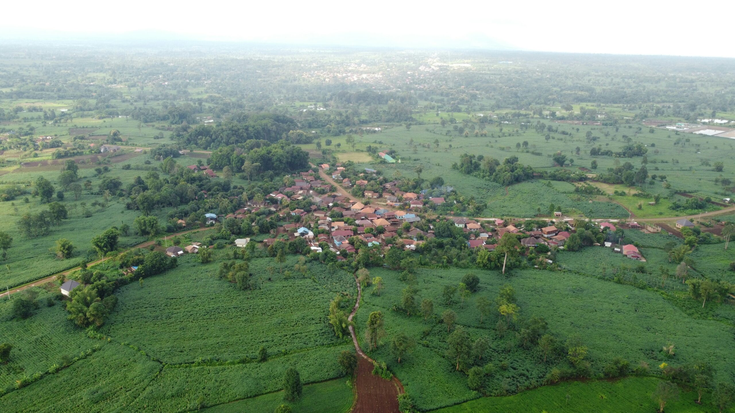 mago tawang