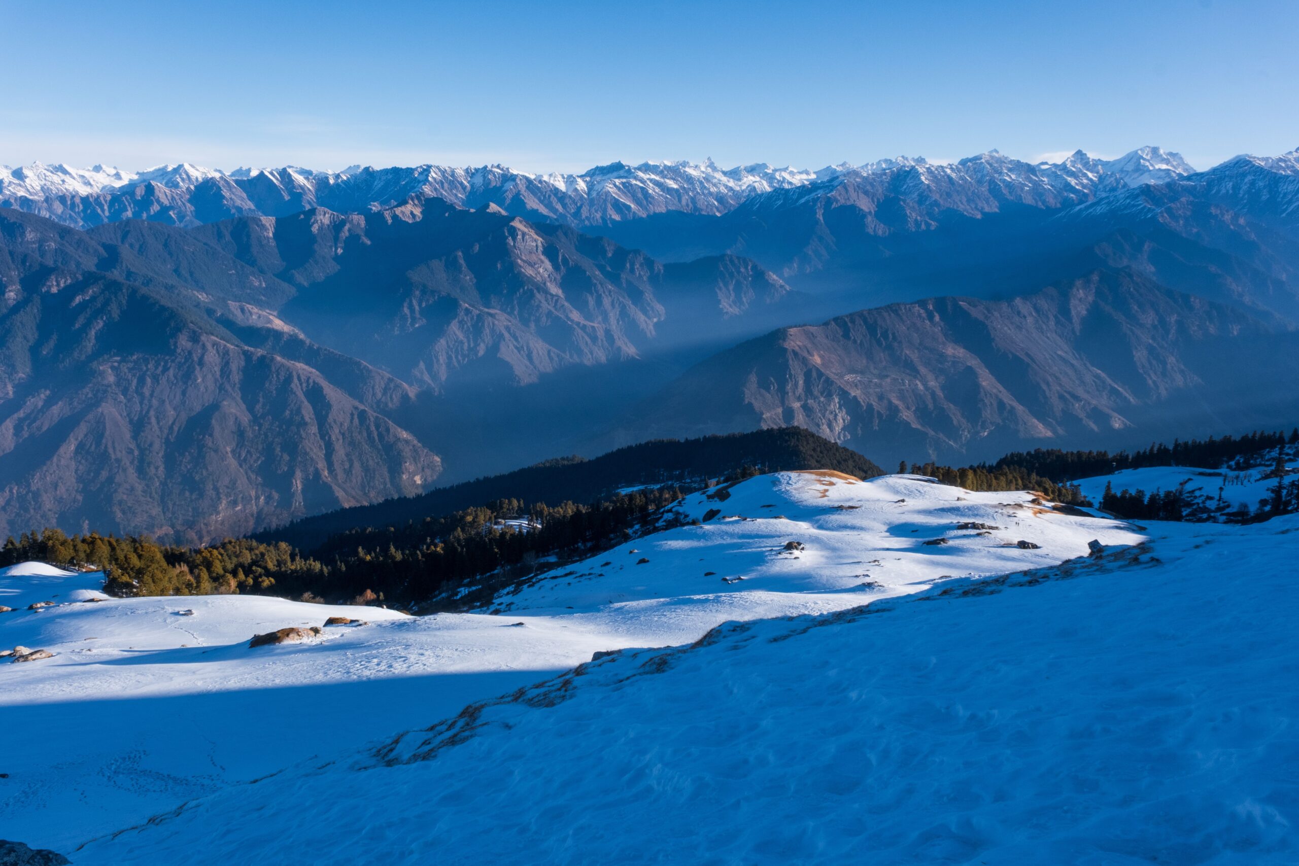 kauri pass trek
