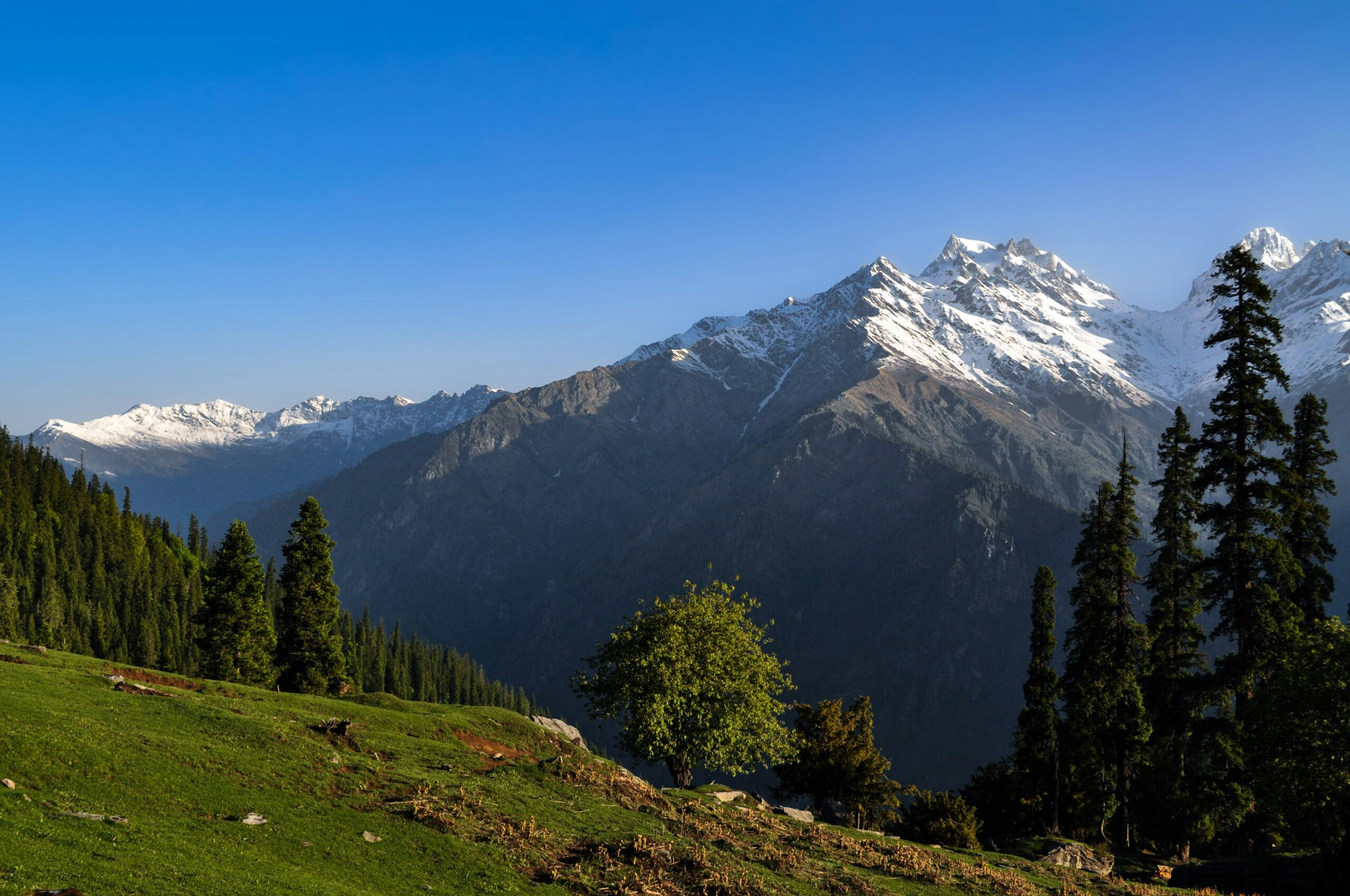 Sar Pass Trek in May