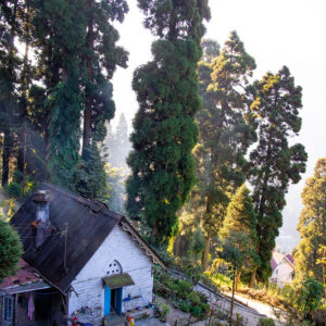 colonial walk in darjeeling