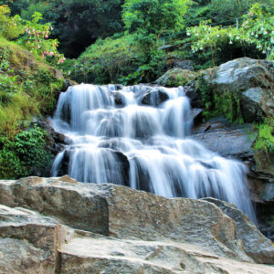 Small cascading waterfall flowing over rocks at Rock Garden Darjeeling with dense greenery around.