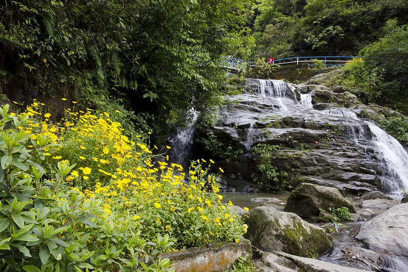 beautiful view of rock garden darjeeling