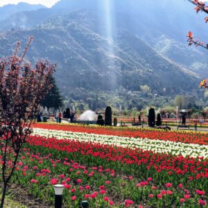 kashmir escape