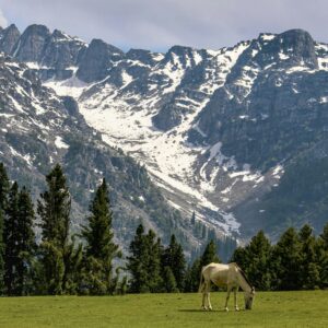 Explore Gurez With Srinagar Sightseeing