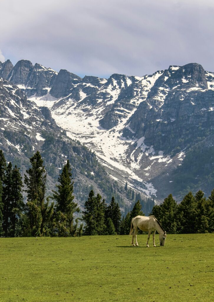 Explore Gurez With Srinagar Sightseeing