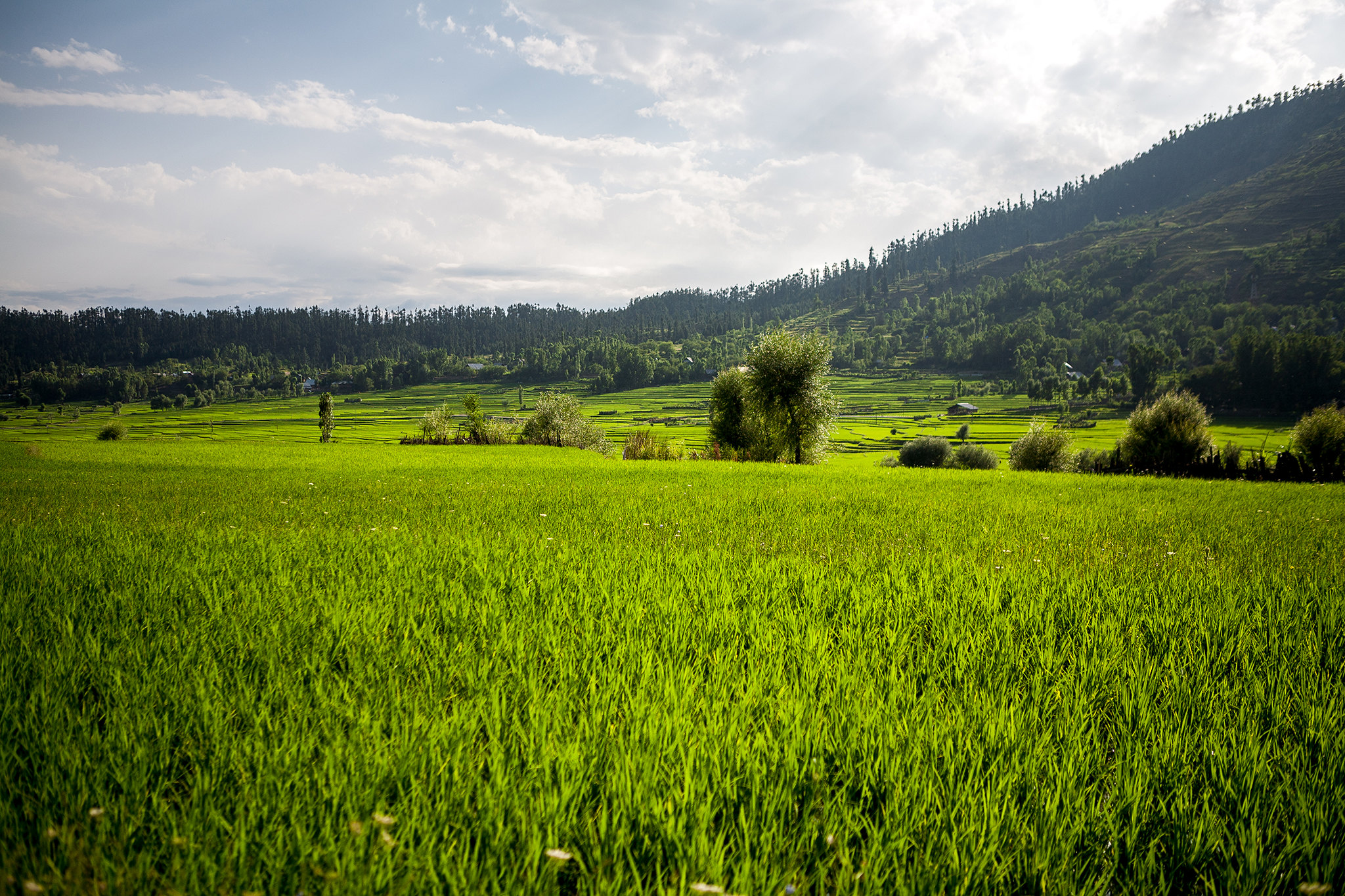 lolab valley kashmir