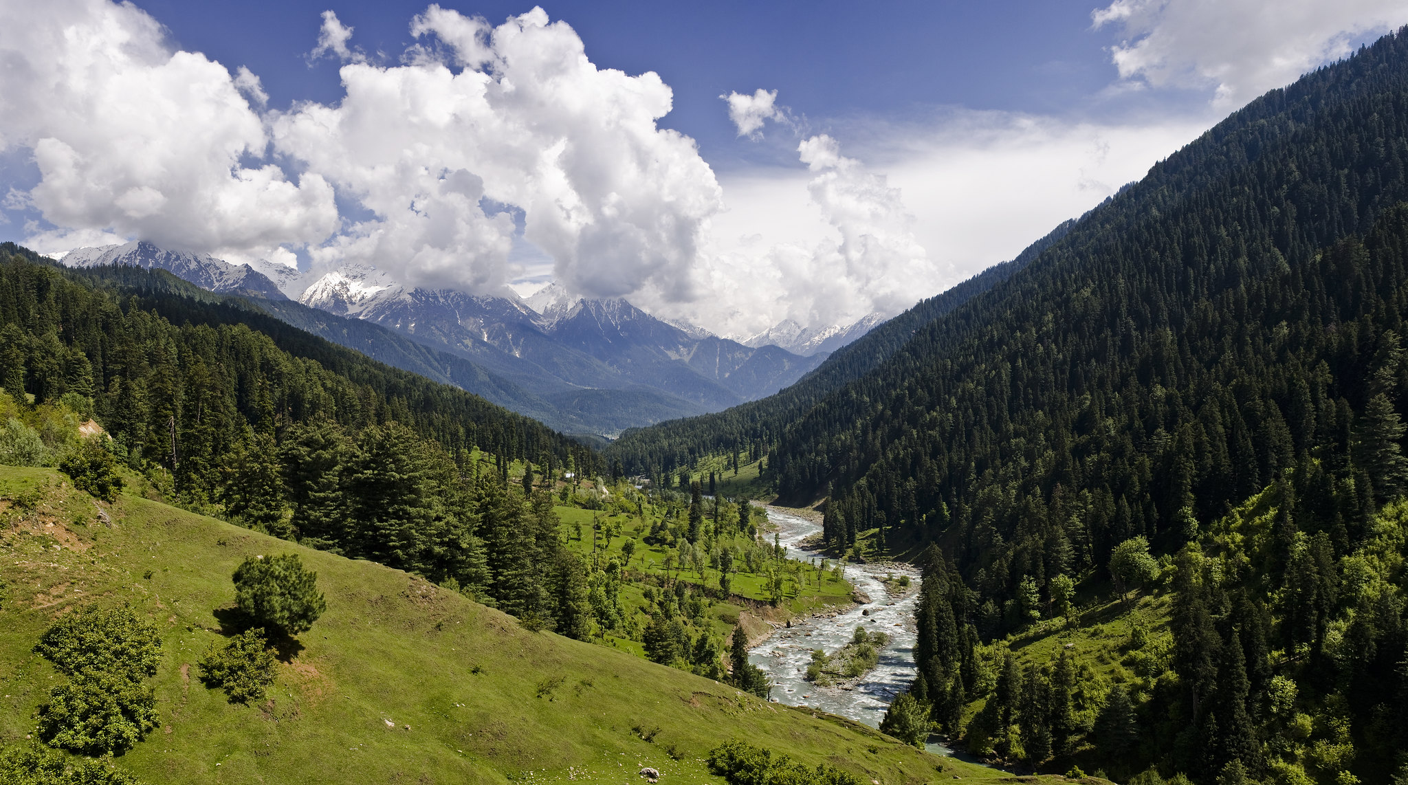 tosa maidan kashmir