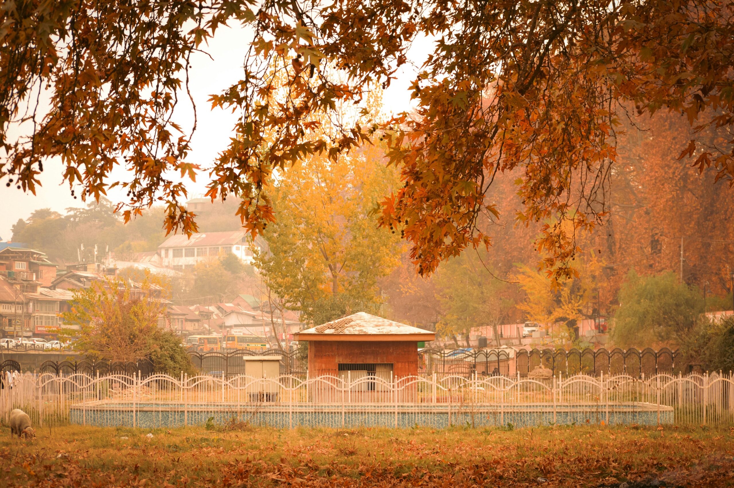 kashmir in autumn