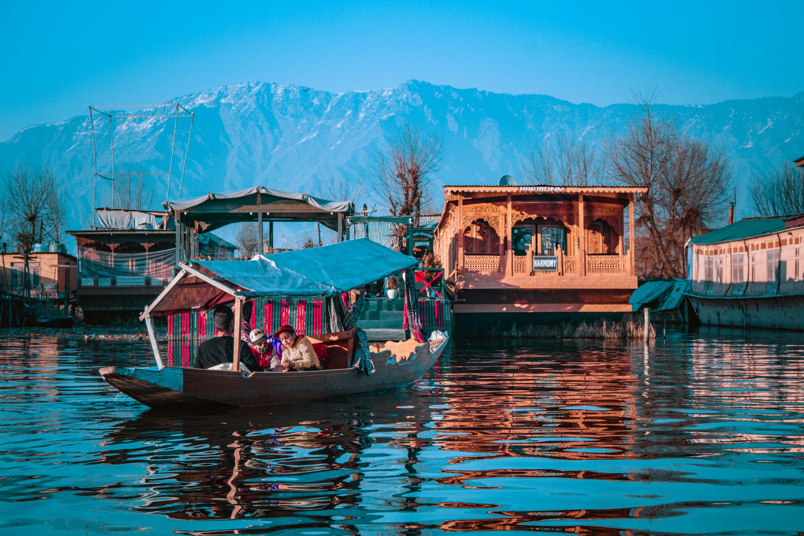 things to buy in kashmir
