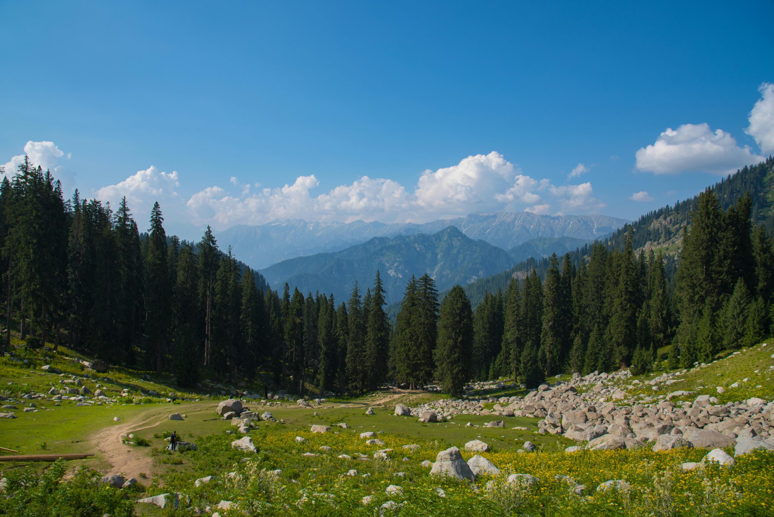 baisaran valley kashmir